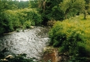 Stream near Blarney Castle.jpg
